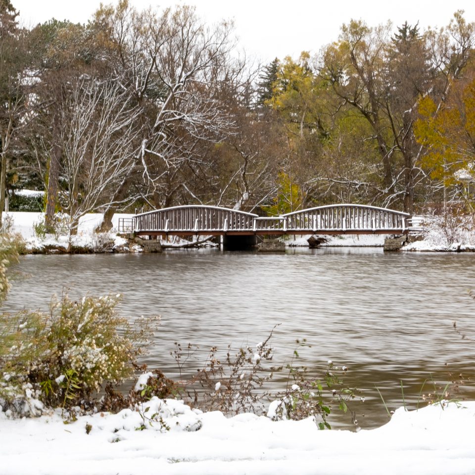 Bridges in Stratford